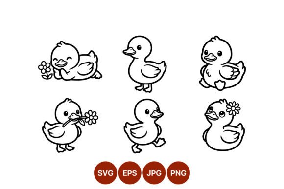 Cute Black White Ducklings Illustration for Graphics and Illustrations